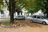 Już jesień w Białymstoku? Spadają liście z drzew