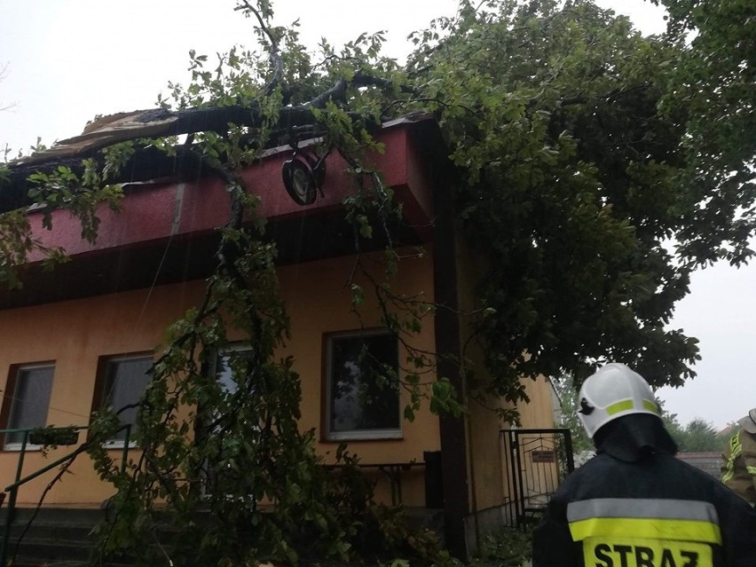 W Niegowici drzewo spadło na dach lokalu gastronomicznego