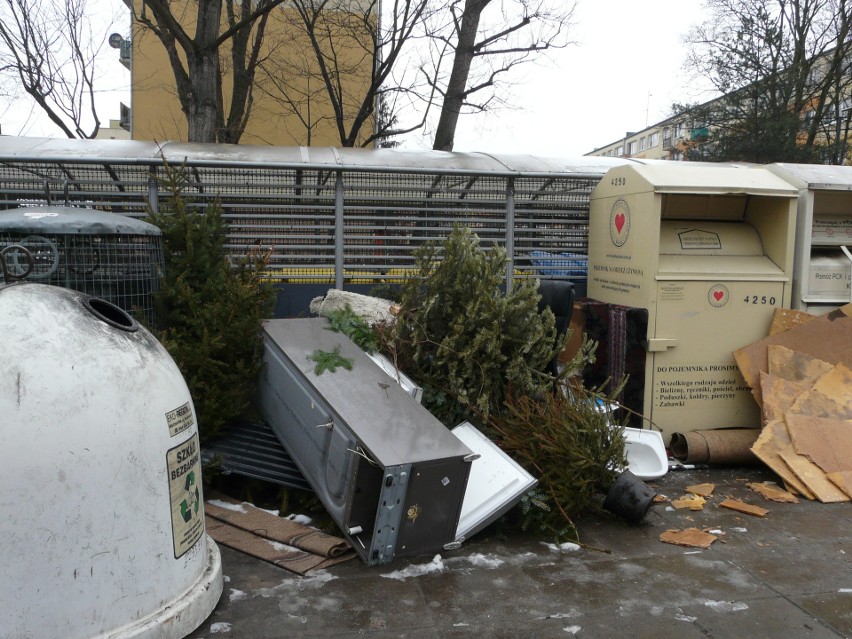 Pabianice. Wielkogabaryty i choinki zalegają pod pergolami. Mieszkańcy mają problem z segregacją? ZDJĘCIA