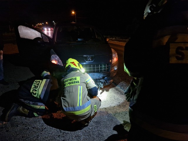 Piesek zakleszczył się w zderzaku samochodu po kolizji w gminie Żarnów. Strażacy OSP ratowali go przy pomocy nożyc hydraulicznych