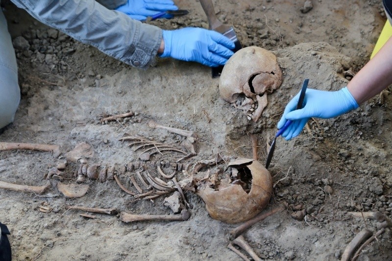 Dotychczas naukowcy odkryli najwięcej szczątków dzieci oraz...
