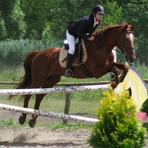 Konie muszą przeskoczyć przeszkody o wysokości od 90 do 120 centymetrów - wyjaśnia główny sędzia zawodów Katarzyna Ziemińska - Milanowska