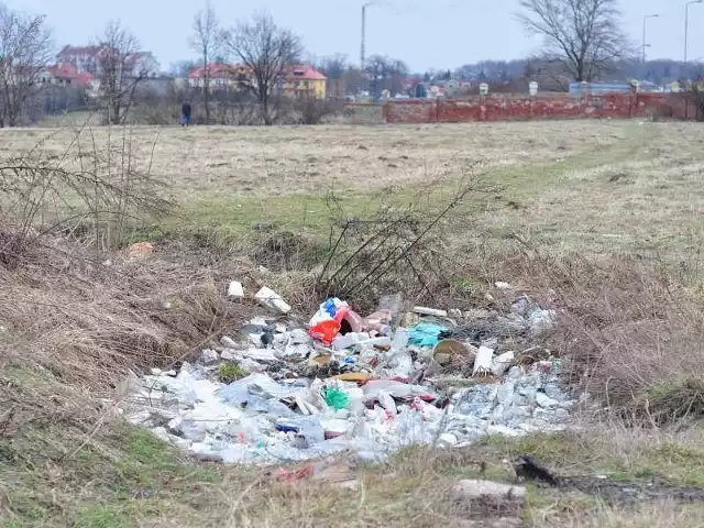 Na łące za murem dzikowskim w Tarnobrzegu urządzono sobie dzikie wysypisko śmieci.