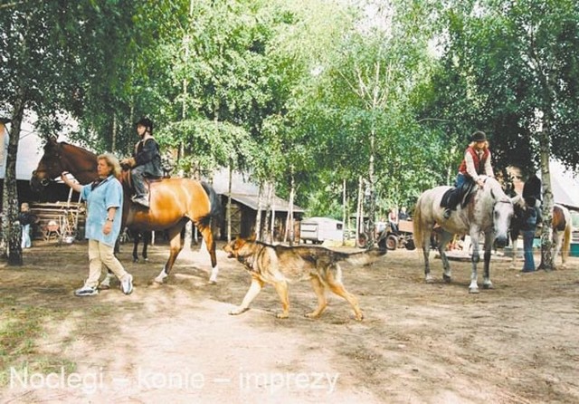 Coraz więcej gospodarstw, tak jak to na zdjęciu – w Surażkowie, oferuje gościom możliwość jazdy konnej