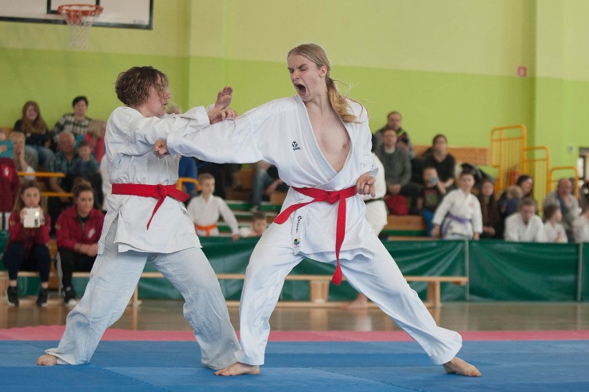 I Mistrzostwa Polski United World Karate. Klub Spartans z 17 medalami (zdjęcia, wideo) 