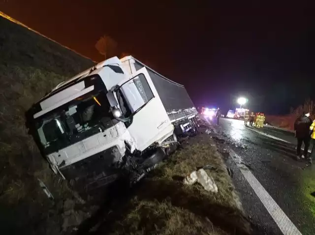 Śmiertelny wypadek w Bogatyni. Zginął 24-letni kierowca osobowego audi.