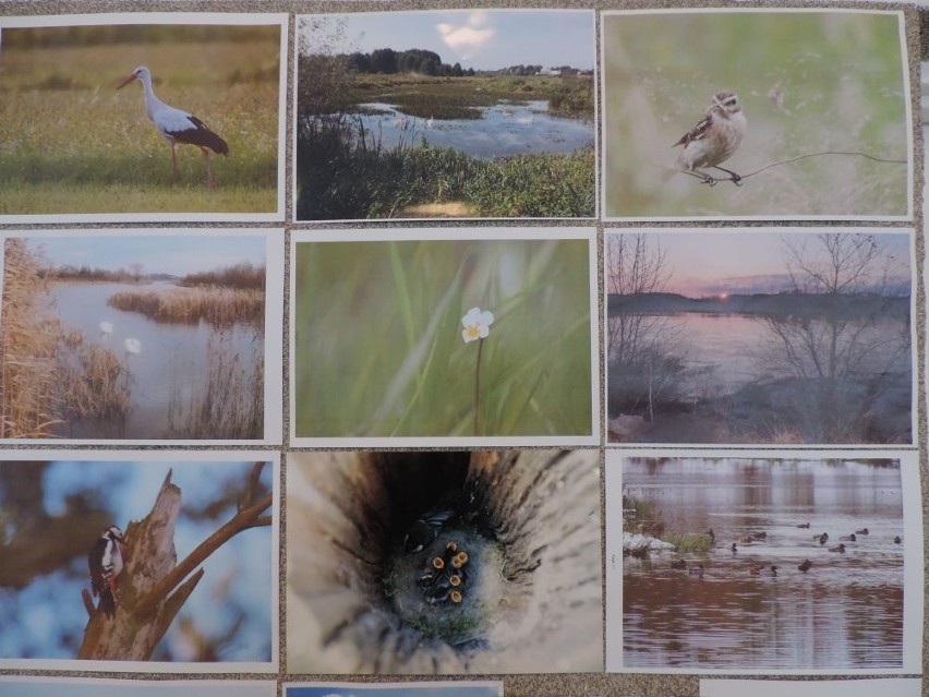 Małkinia Górna. Rozstrzygnięcie konkursu fotograficznego. Lista laureatów [ZDJĘCIA]