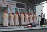 Nasze Koziegłowy i okolice: Festiwal Pierogów i koncerty ZDJĘCIA