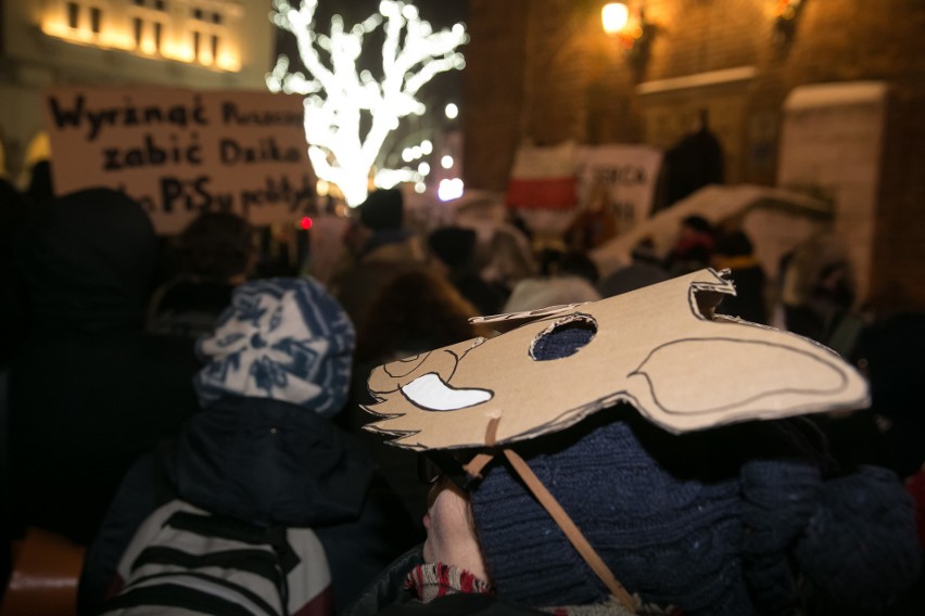 Dziki protest w obronie dzików w Krakowie. "Dzik czuje, tak...