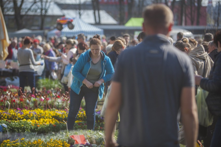 Od soboty do niedzieli (06.-07.04) w Słupsku trwa kolejne...