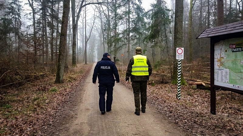 Hajnówka. Policja i straż leśna patrolowali lasy w powiecie. Zwracali uwagę na nielegalną wycinkę choinek [ZDJĘCIA]