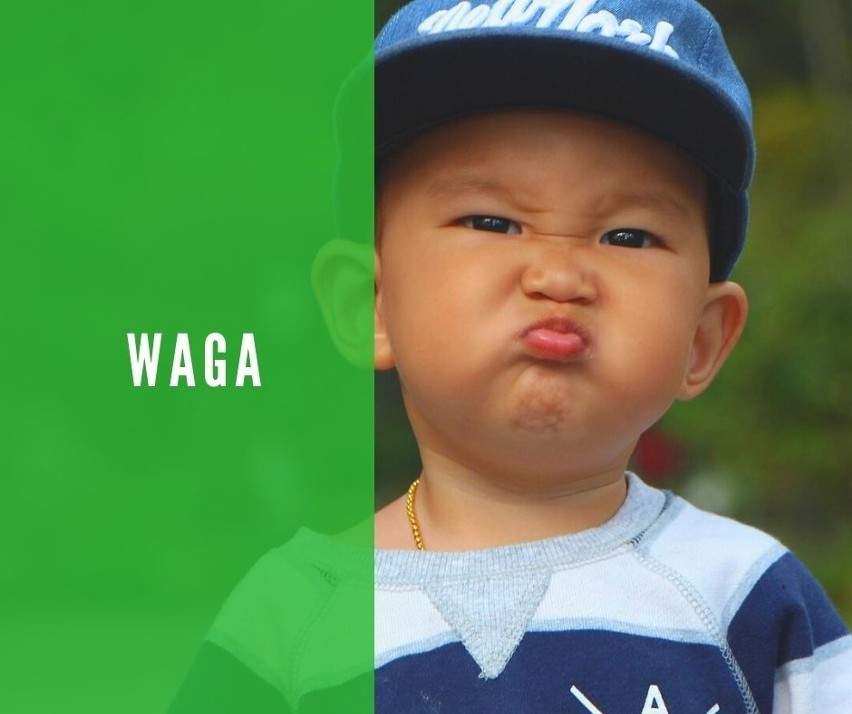 WAGA...