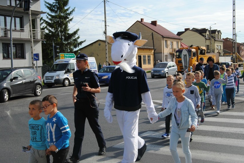 Nowy Koziołek Spoko we Włoszczowie. Policjanci uczyli dzieci bezpiecznych zachowań. Przede wszystkim w drodze do szkoły (ZDJĘCIA, WIDEO)