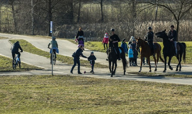 Piękna pogoda w niedzielę (7 lutego) sprawiła, że bydgoszczanie wyszli z domów i tłumnie ruszyli na spacery. Między innymi do Myślęcinka.