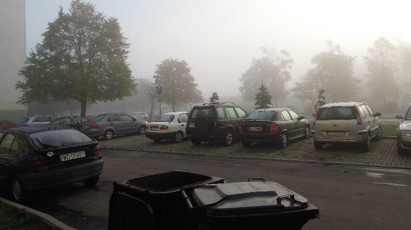 Mgła nad Polską. Najgorsza widoczność była w Łodzi. Odwołane samoloty na Lublinku [ZDJĘCIA]