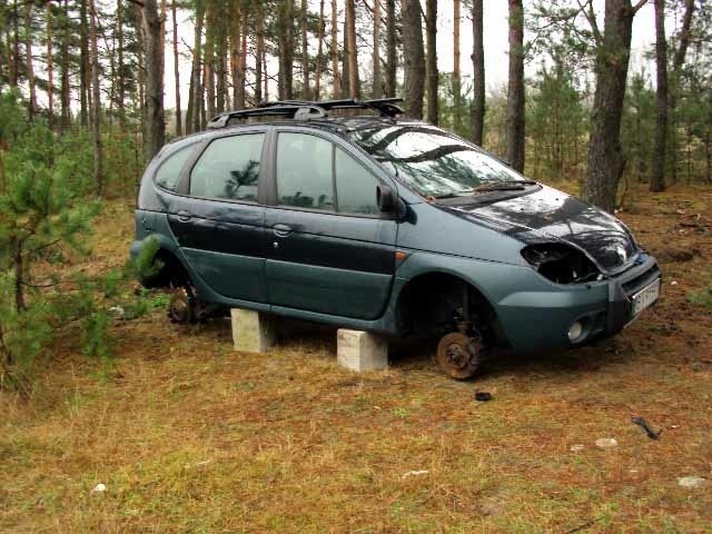 Właścicielka miała zabrać auto z lasu już trzy tygodnie temu. Z każdym dniem z samochodu znikają kolejne części.