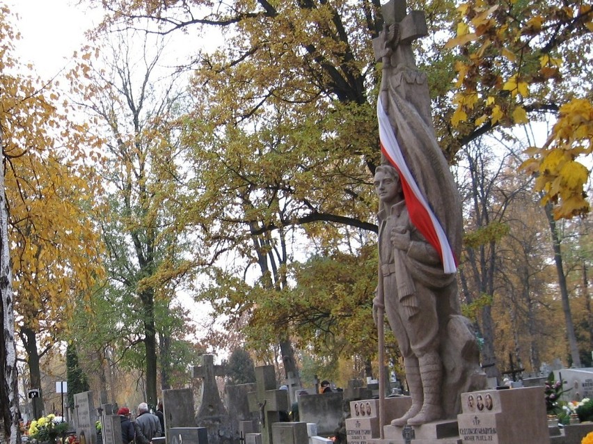 Odnowiony pomnik ku czci Szarych Szeregów  w całej krasie