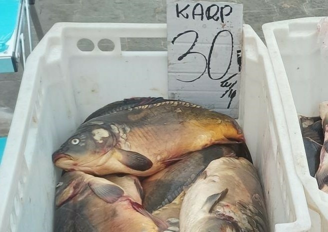 Zobacz w galerii ceny ryb na targowisku w...