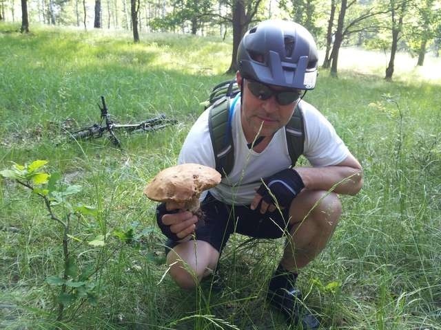 Piotr Szalkowski znalazł tego prawdziwka podczas wycieczki rowerowej po lasach w okolicach Torunia