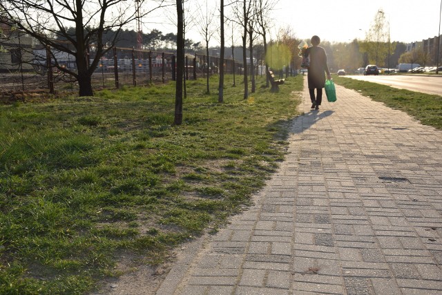 Ulica Prosta w Zielona Góra - zarośnięte chodniki. Mieszkańcy proszą o ich oczyszczenie.