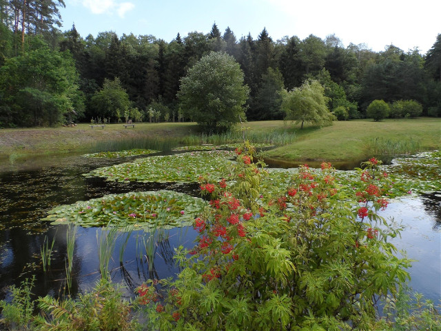 Arboretum w Kopnej Górze już nie jest zwykłym ogrodem. Właśnie zyskało status ogrodu botanicznego. To efekt starań Nadleśnictwa Supraśl