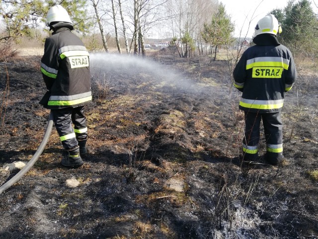 Już kilka razy strażacy z gminy Odrzywół wyjeżdżali w tym roku do pożarów lasów i łąk wywołanych przez podpalacza.