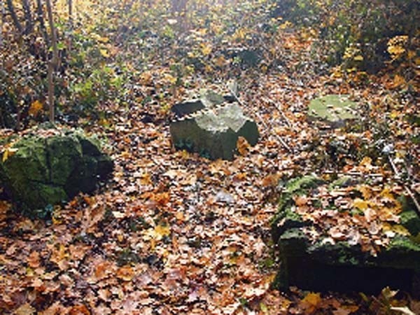 Z dawnego cmentarza żydowskiego zostały zarośnięte wśród traw fragmenty nagrobków 