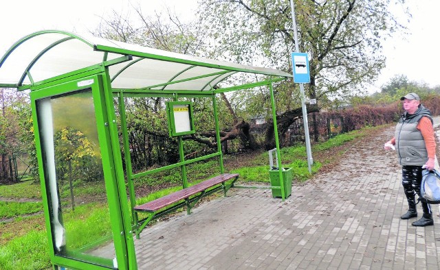 Stan przystanku na pętli obok działek na Rudaku niezbyt zachęca do oczekiwania na przyjazd autobusu