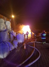 Pożar w zakładzie Remondis przy ul. Pryncypalnej w Łodzi. Zapaliły się akumulatory składowane w kontenerach [ZDJĘCIA, FILM]