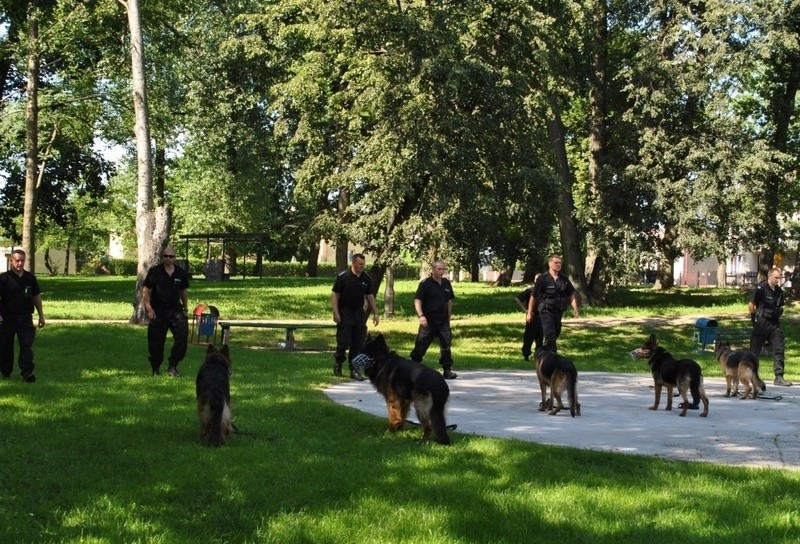 Szkolenie psów służbowych w Grajewie