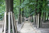 Kraków. Trwa remont alejek i małej architektury w parku Kościuszki