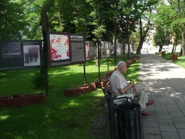 W parku jest już aleja Sybiraków. Ta inicjatywa należała do Witolda Bani.