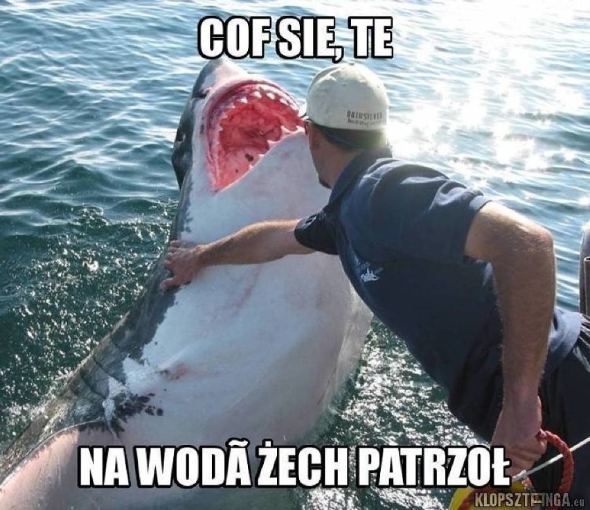 Beka ze Śląska. Zobaczcie najlepsze memy....