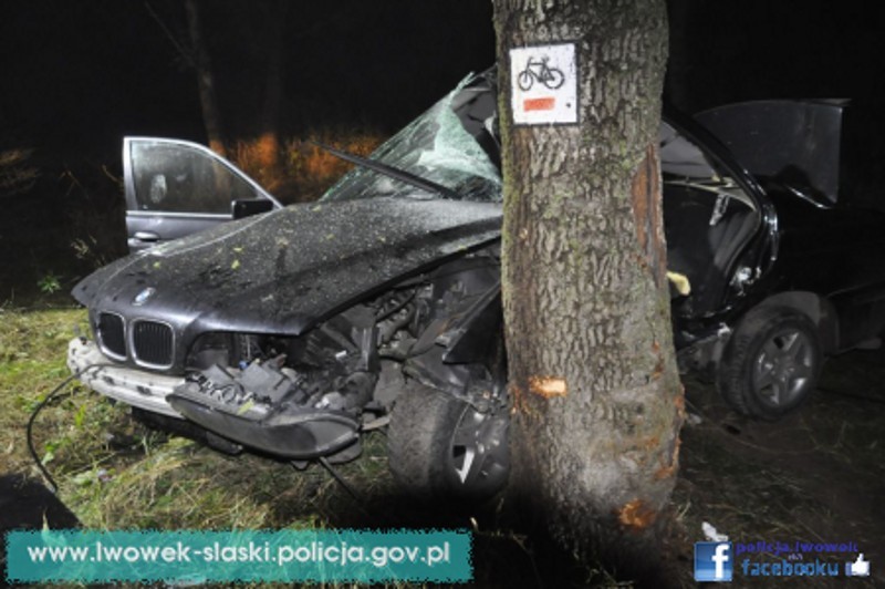 Wypadek pod Lwówkiem Śl: BMW uderzyło w drzewo. Kierowca zginął na miejscu (ZDJĘCIA)