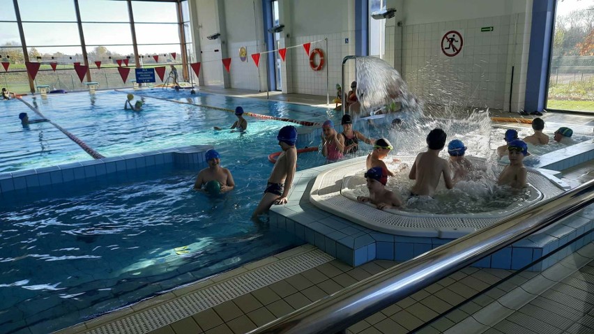 Uczniowie z Publicznej Szkoły Podstawowej w Iwaniskach zakończyli naukę pływania i treningi sztuki walki - taekwondo