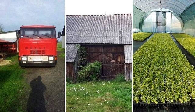 Zobacz, co ludzie sprzedają za symboliczną złotówkę! Kliknij w przycisk „zobacz galerię” i przesuwaj zdjęcia w prawo, naciskając strzałkę lub przycisk NASTĘPNE.