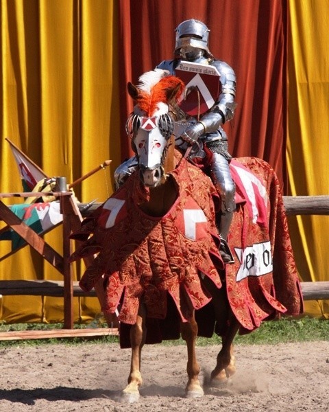 Najbardziej okazałą częścią imprezy będą zmagania konnych rycerzy w pełnopłytowych zbrojach