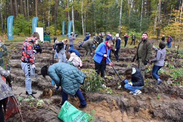 Akcję w Leśnictwie Polesie zorganizowali wspólnie Regionalna Dyrekcja Lasów Państwowych, WFOŚiGW w Toruniu oraz gmina Gniewkowo. Zobaczcie zdjęcia >>>>>