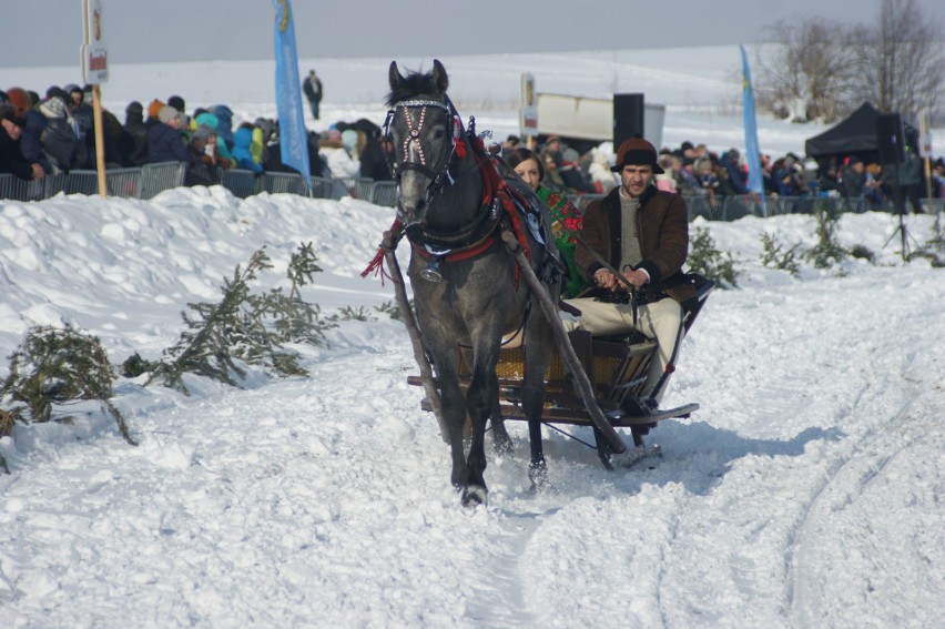 Kumoterki Zakopane 2018