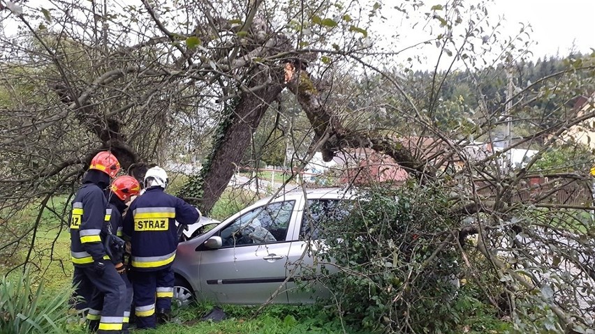 Wypadek w Mostkach. Samochód osobowy uderzył w drzewo 