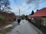 Mieszkańcy ulicy Kruczej w Sandomierzu nie chcą samochodów w ogródkach oraz na dachach swoich domów. Skąd te obawy? [ZDJĘCIA]