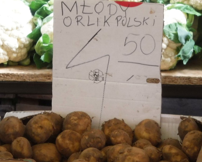 Ziemniaki młode Orlik 4,50 za kilogram