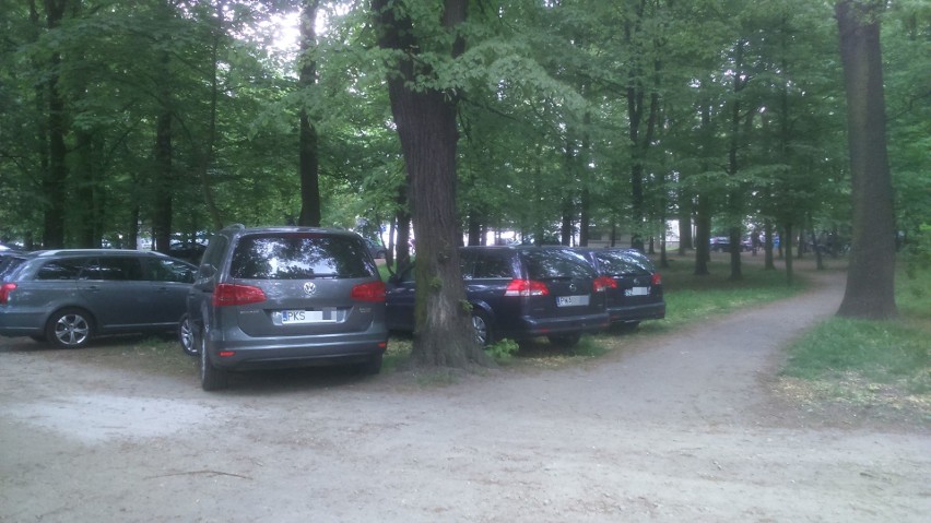 Parking w Parku Dąbskim przy zoo? Kierowcy znów zostawili auta pod drzewami [ZDJĘCIA]