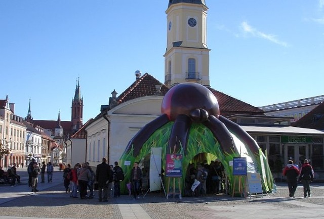 promuje szczepienia przeciwko kleszczowemu zapaleniu mózgu