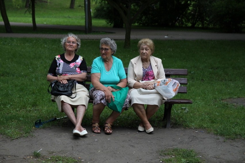 Drugi dzień Dni Dąbrowy Górniczej w Parku Hallera