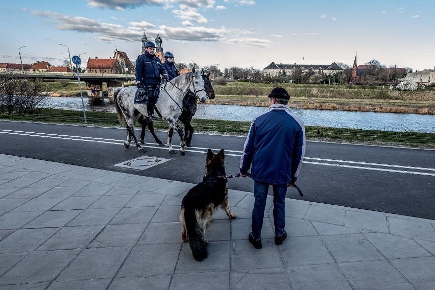 Patrole policji konnej pojawiły się w kilku miejscach w...