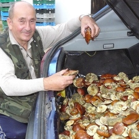 - Od lat zbieram grzyby, ale pierwszy raz w życiu udało mi się zapełnić nimi cały bagażnik samochodu - cieszy się Jerzy Szafrański.