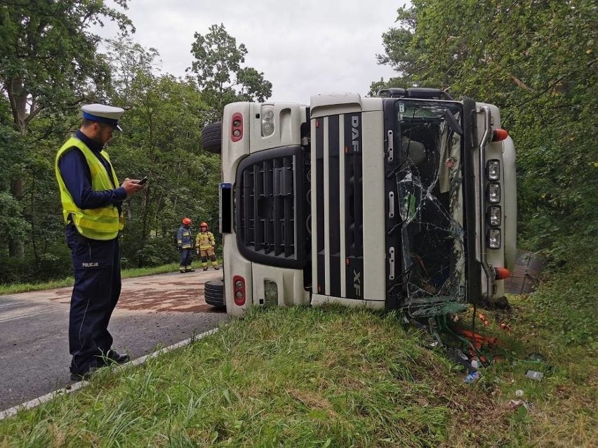 Droga wojewódzka 252, która łączy Włocławek z autostrada A1...