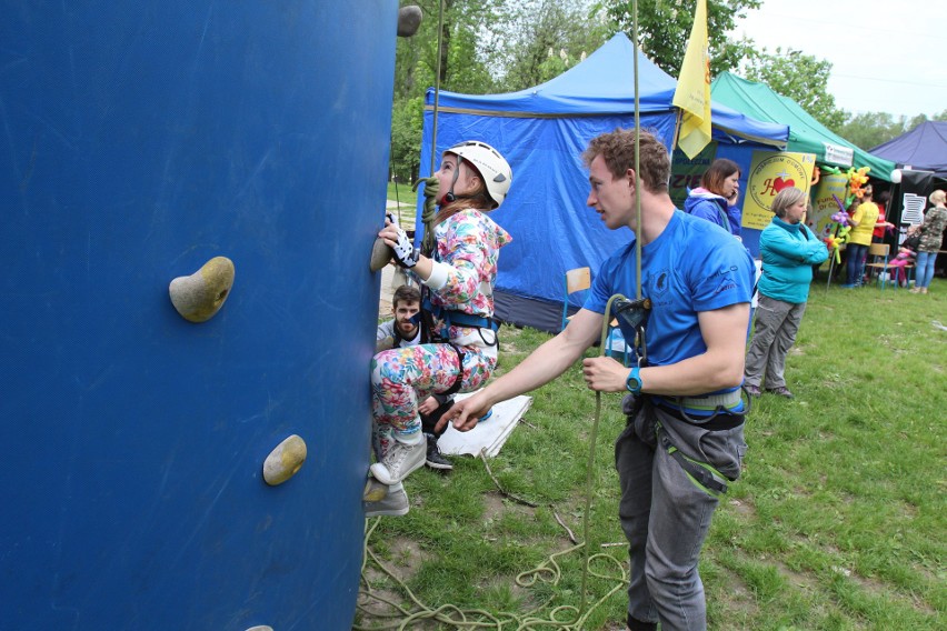 Sosnowiec: Piknik i bieg dla hospicjum ZDJĘCIA