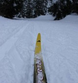 Polska narciarka Kornelia Marek stosowała doping